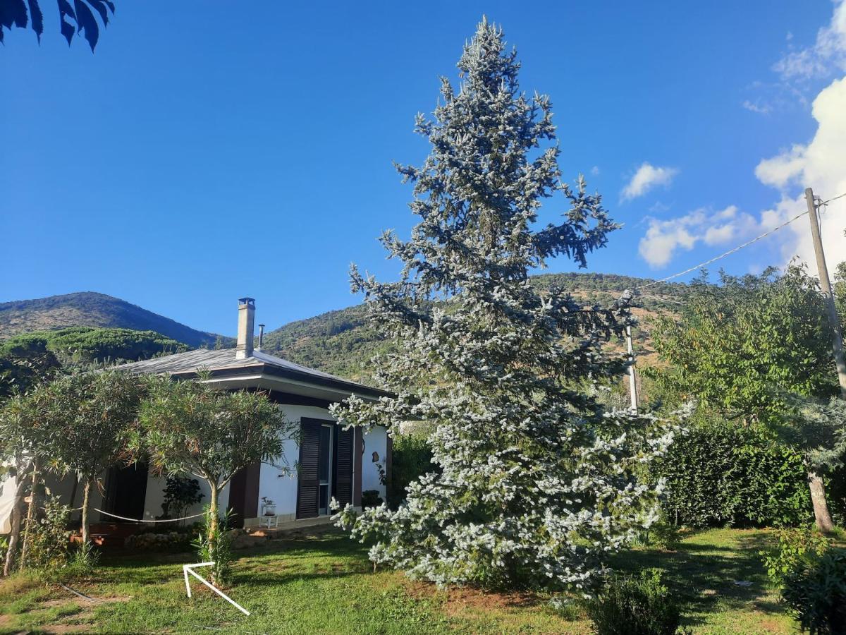 Casetta In Collina