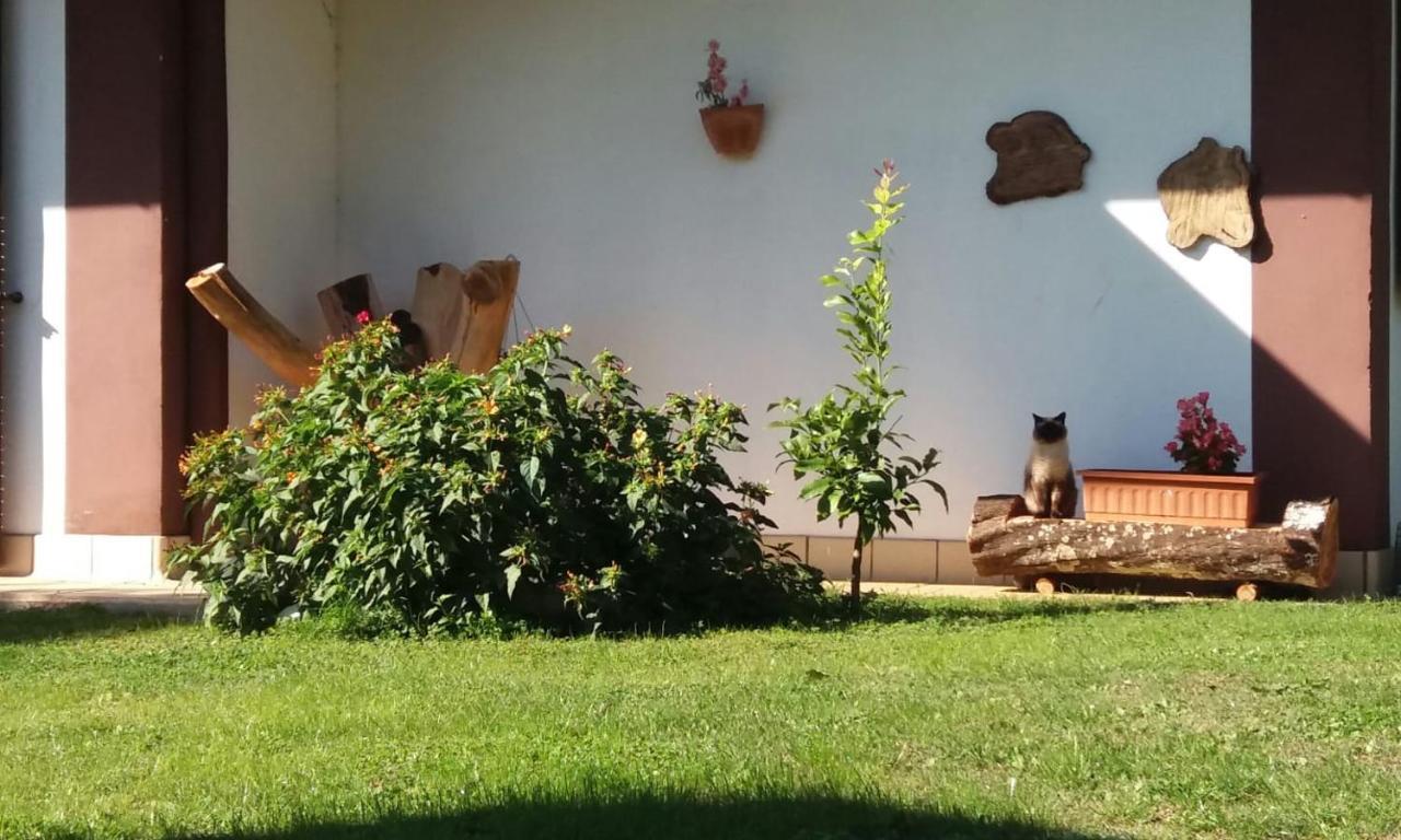 Casetta In Collina Sezze