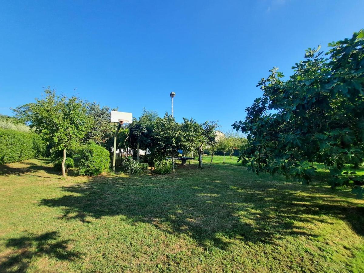 Casetta In Collina Holiday home
