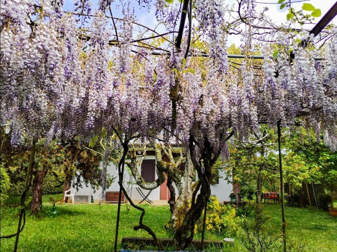 Casetta In Collina Holiday home Sezze